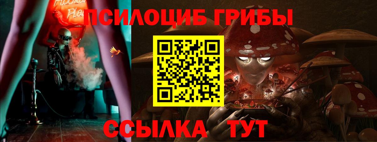 где купить наркоту  Псилоцибиновые грибы Cubensis  Вход с VPN  Реж 